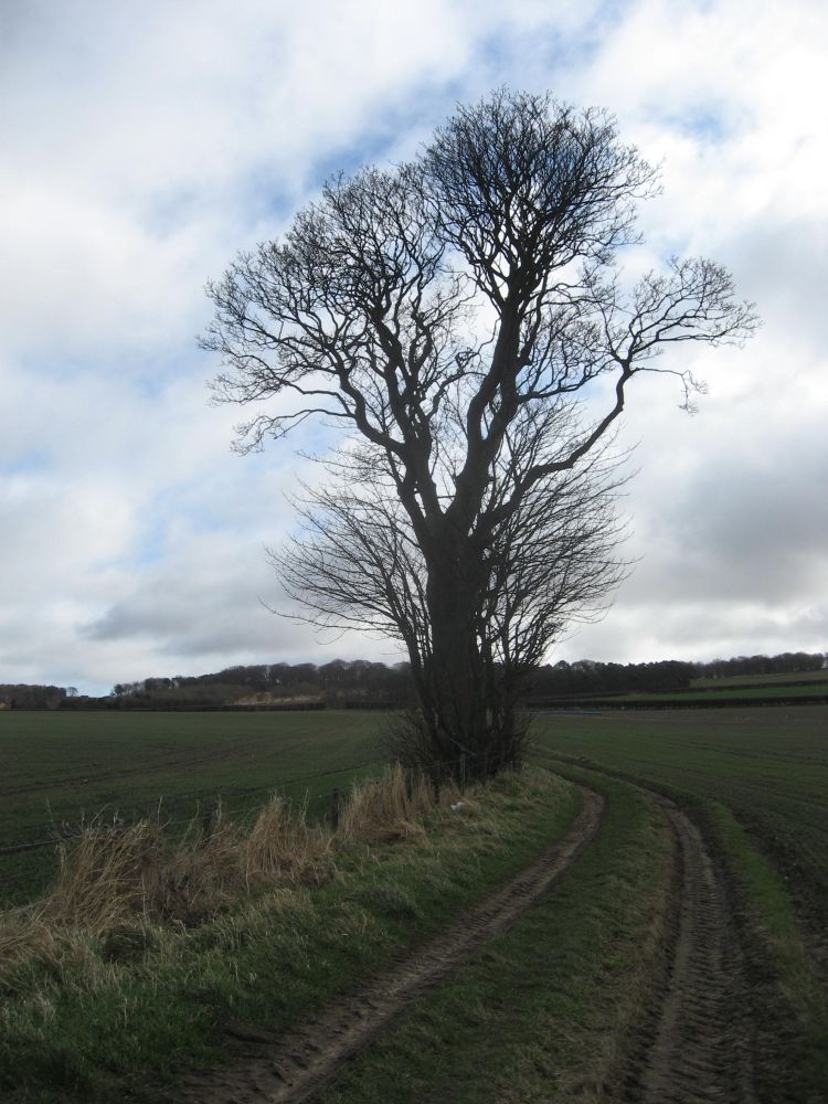 Masterton, Newbattle Location